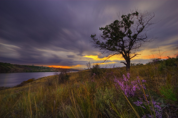Artem Nosenko: hills tree flower nature water river 