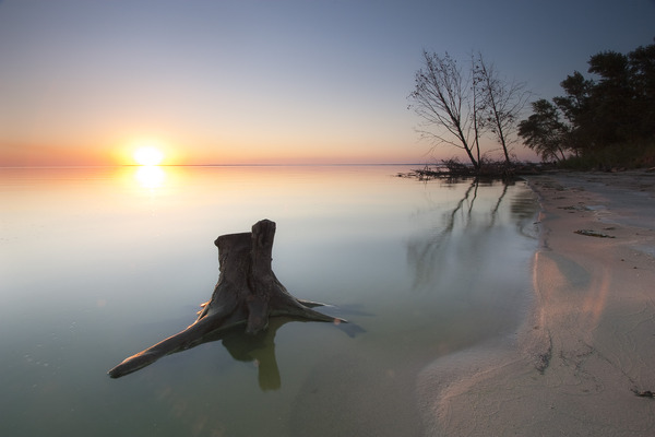 Artem Nosenko: trees sand sun water nature