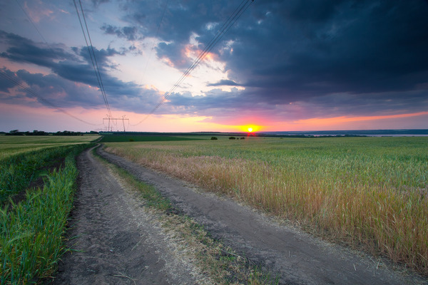 Artem Nosenko: road grass field sun clouds trees nature